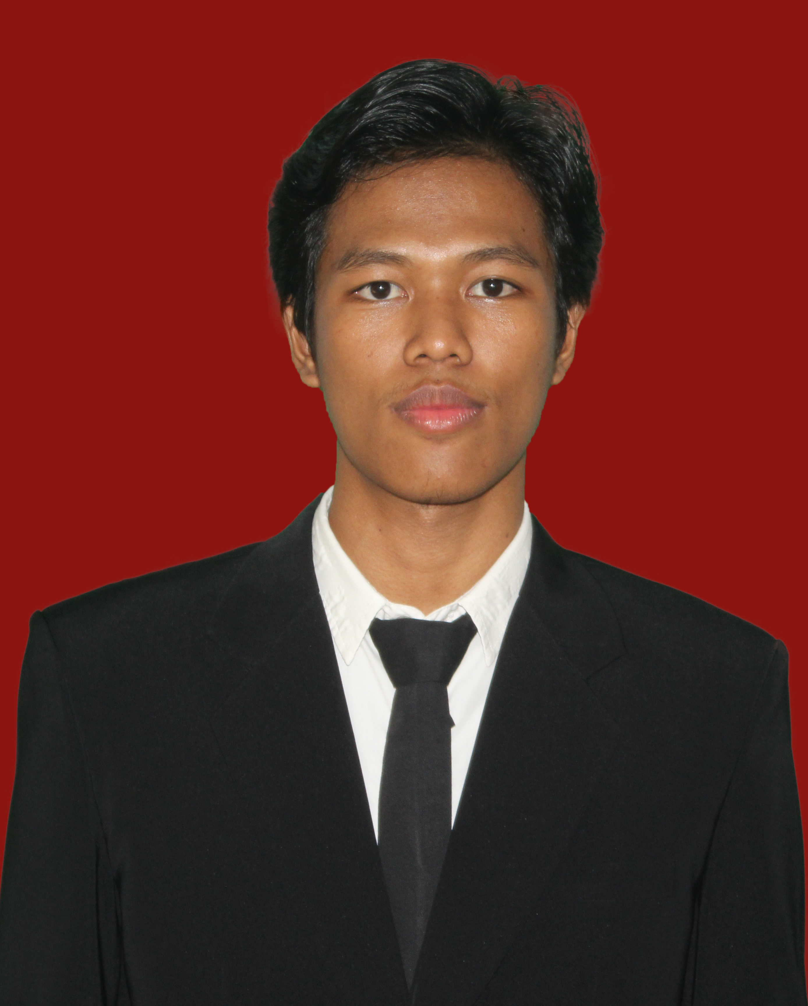Profil Developer